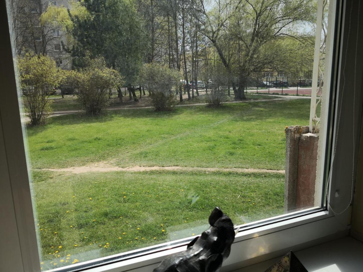 Ferienwohnung Vieno Kambario Butas Su Balkonu Kaunas Exterior foto