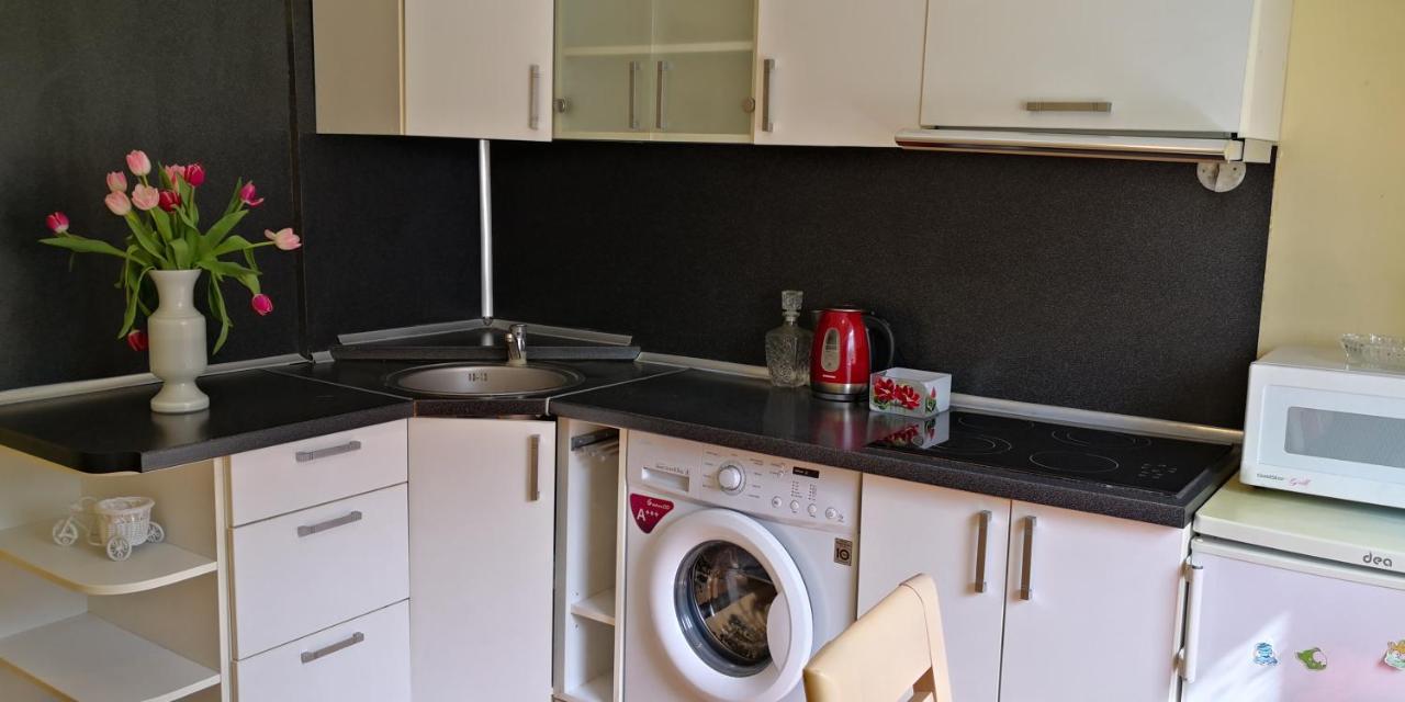 Ferienwohnung Vieno Kambario Butas Su Balkonu Kaunas Exterior foto